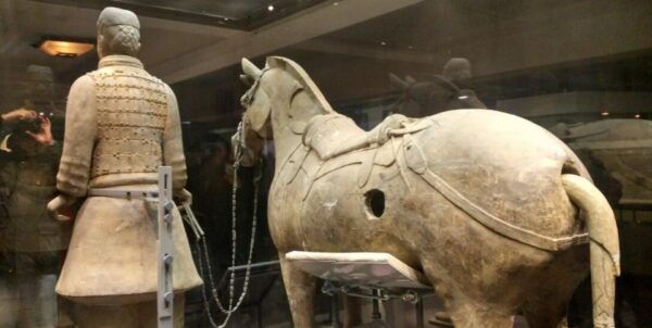Xian: Half-Day Terracotta Warriors & Horses Museum Tour - Important Details and Considerations