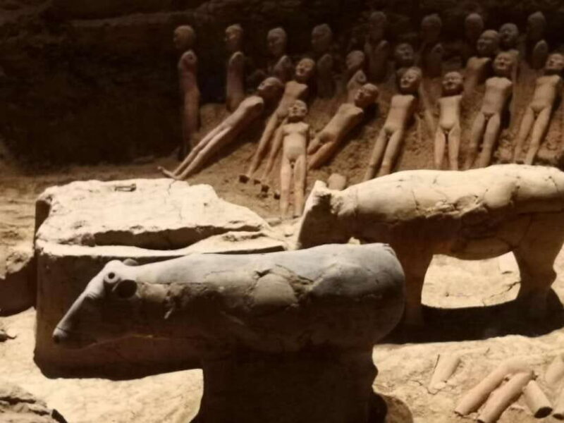 Xi'an: Han Yang Ling Tomb Archaeology Tour with Options - Who Will Love This Tour?