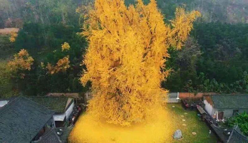 Xi'an Hidden Gems One-Day Private Tour - What You Can Expect from the Tour