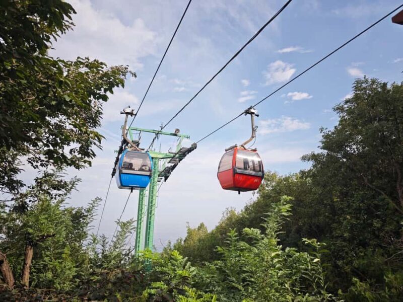 Xi'an Huaqing Hot Springs: Scenery, Culture & History Story - What to Expect: A Detailed Breakdown