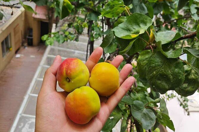 Xi'an Noodle Making and Tea Tasting Experience - Frequently Asked Questions