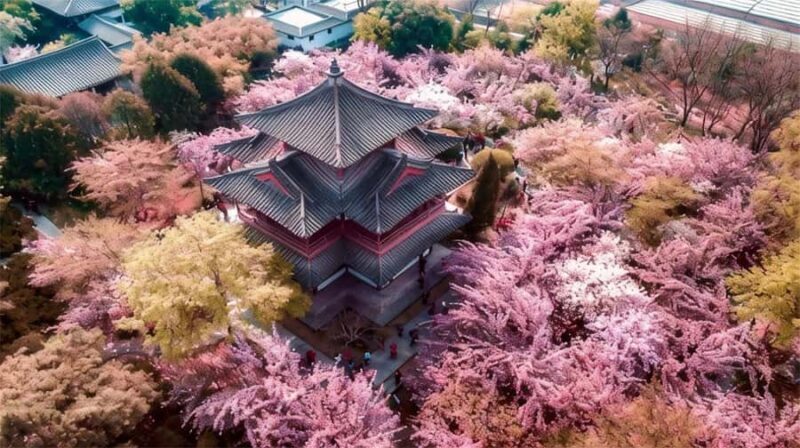 Xi'an: Private Terracotta Army & Huaqing Palace Day Tour - Exploring the Hidden Gems of Xian: A Detailed Review of the Private Terracotta Army & Huaqing Palace Day Tour