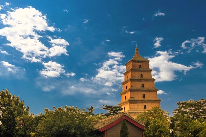 Xian Small Group Day Tour:Terracotta Army, Big Wild Goose Pagoda and City Wall - Tour Inclusions