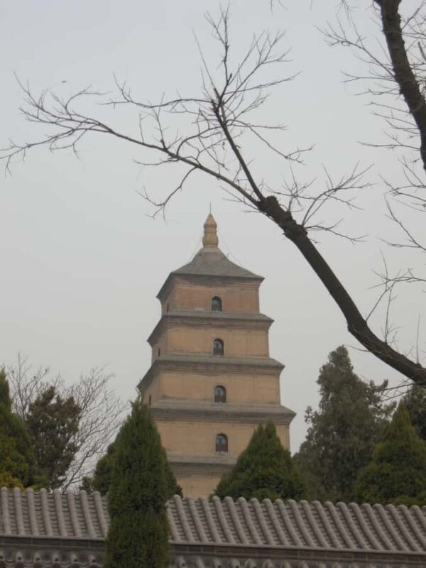 Xi'an: Terra-Cotta Warriors Entry with Optional Guide - Practical Tips for Visiting the Terra-Cotta Warriors