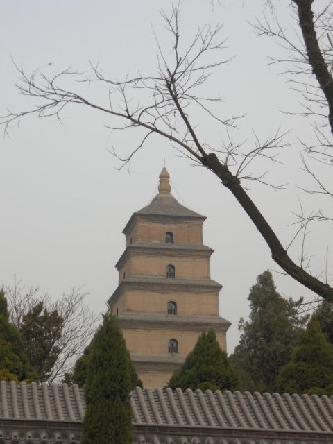 Xian: Terra-Cotta Warriors Entry With Optional Guide - Activity Details