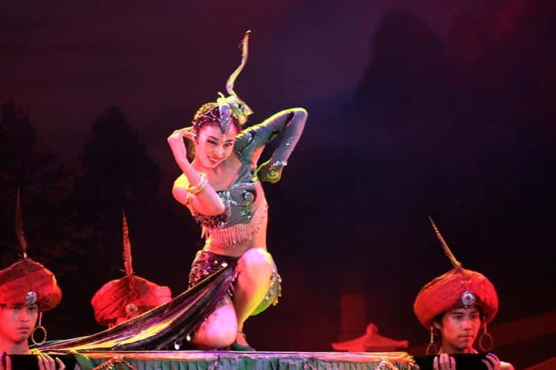 Xi'an Terra Cotta Warriors Tour with Tang Dynasty Show - Deep Dive into the Tour Experience