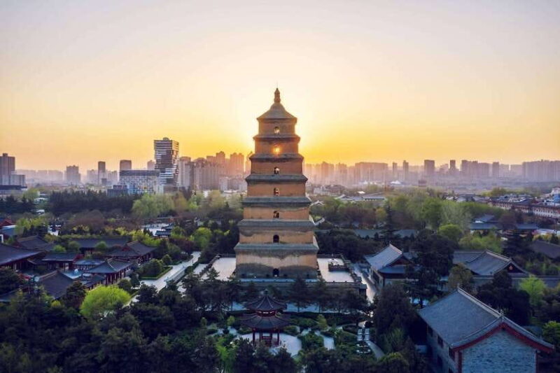 Xi'an: Terracotta Army and Big Wild Goose Pagoda Tour - An In-Depth Look at the Tour Experience