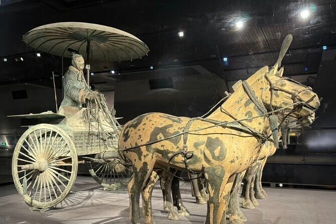 Xi'An Terracotta Army Half Day With ENG/CHN/JAP/SPA Guide Daily - Who Should Consider It?