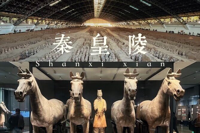 Xi'An Terracotta Army Half Day With ENG/CHN/JAP/SPA Guide Daily - Final Thoughts: Who Should Consider This Tour?