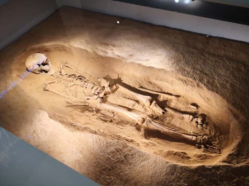 Xi'an: Terracotta Army & Shaanxi Archaeology Museum Day Trip - Good To Know