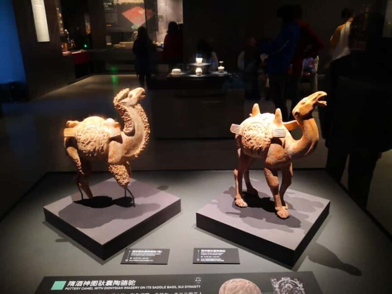 Xi'an: Terracotta Army & Shaanxi Archaeology Museum Day Trip - Additional Information