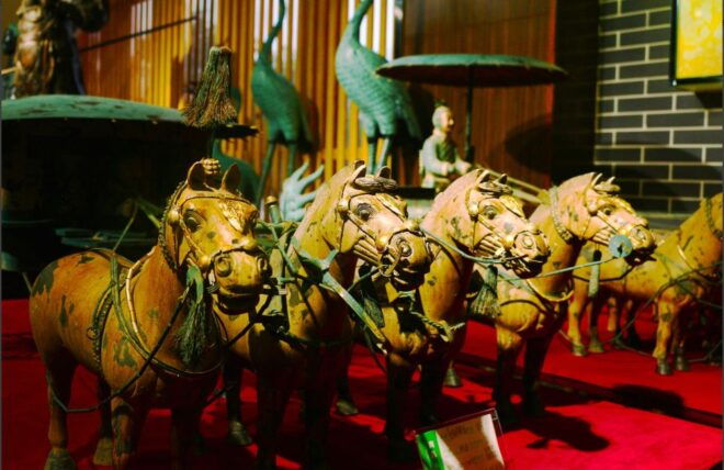 Xian Terracotta Warriors Banpo Museum Option Private Tour - Important Information for Participants