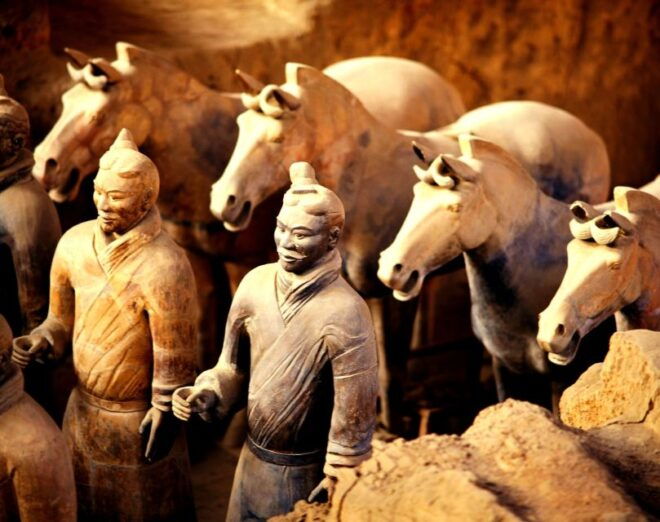 Xian Terracotta Warriors Banpo Museum Option Private Tour - Additional Tour Information