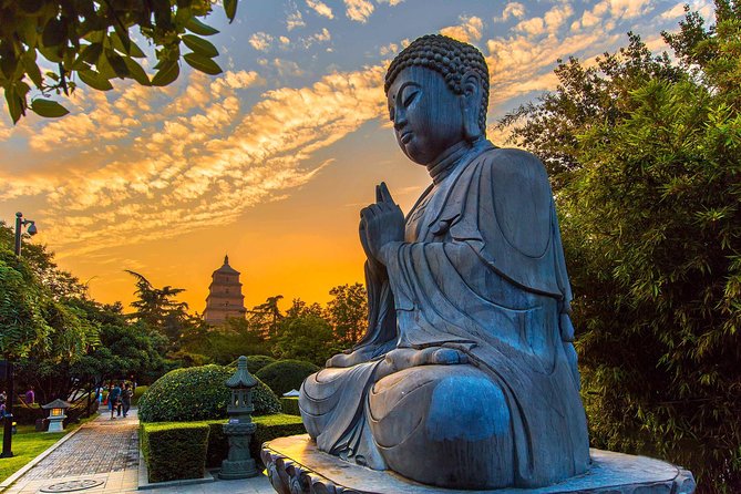 Xian Terracotta Warriors, Big Wild Goose Pagoda: Private Tour - Tour Highlights
