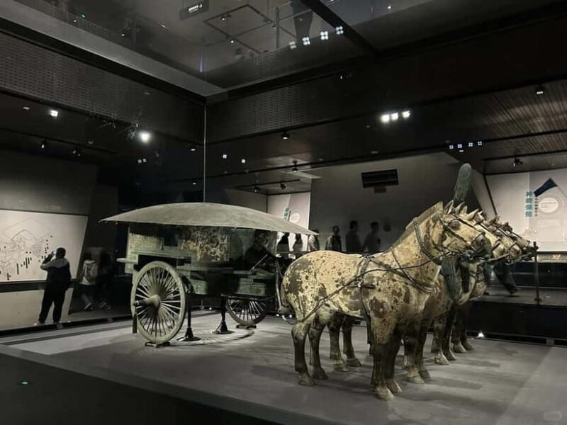 Xi'an: Terracotta Warriors, Huaqing Palace & City Night Tour - Final Thoughts