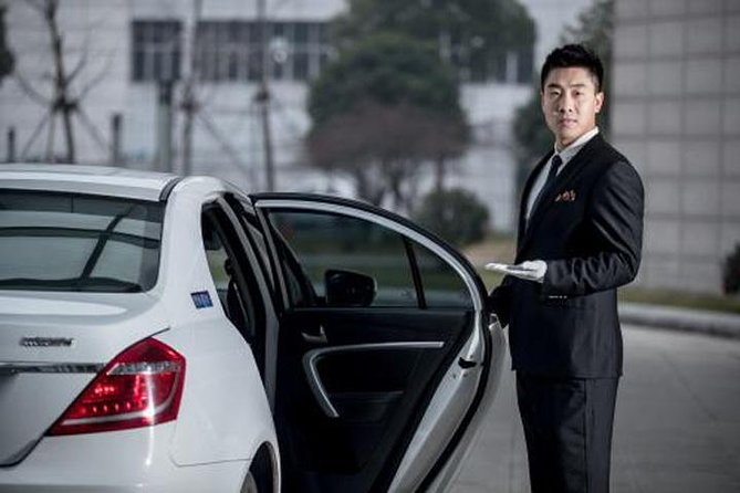 Xian Xianyang Airport to Hotels:Private Transfer With Meet & Great Service - Inclusions