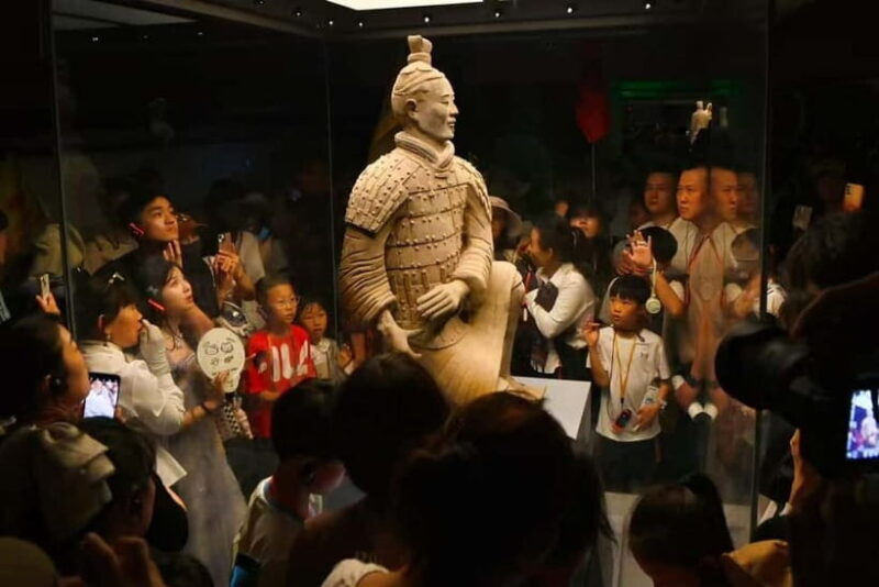 Xi'an:Terracotta Army Museum Walking Tour with Entry Tickets - Who Will Love This Tour?