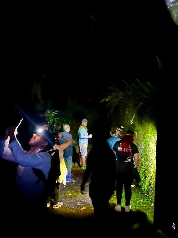 Xilitla - Caminando por un sueño surrealista - The Value of This Experience  