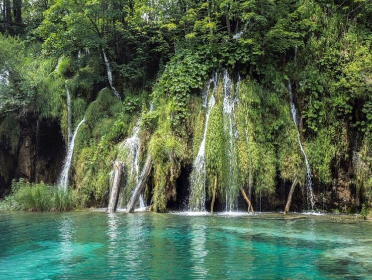 Xilitla: Turquoise Route to El Salto and El Meco Waterfalls - Good To Know