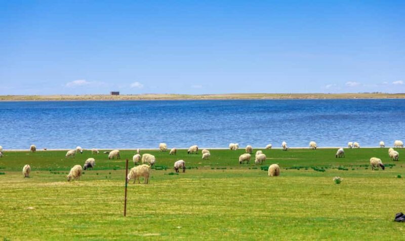 Xining: Qinghai Lake Private Day Tour with Bike Ride - An In-Depth Look at the Qinghai Lake Private Day Tour