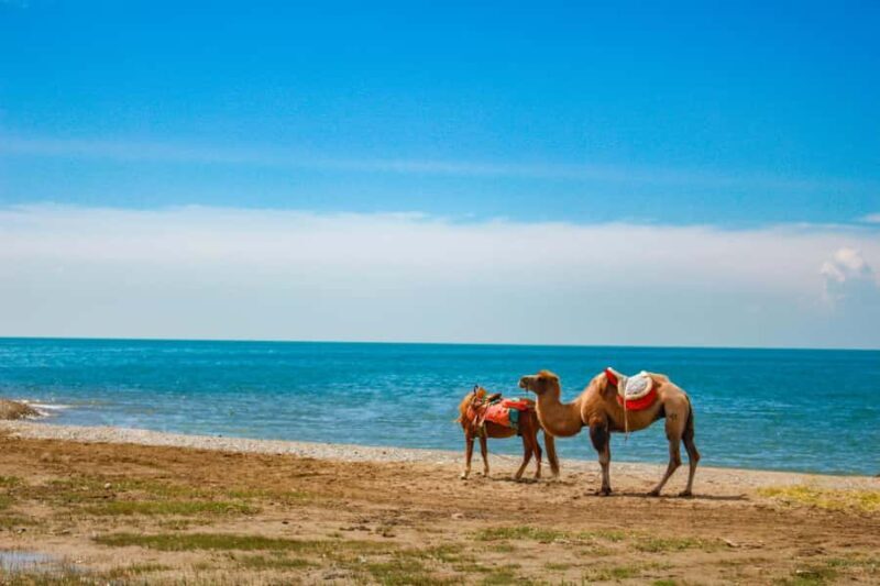 Xining: Qinghai Lake Private Day Tour with Bike Ride - Why This Tour Is Worth Considering
