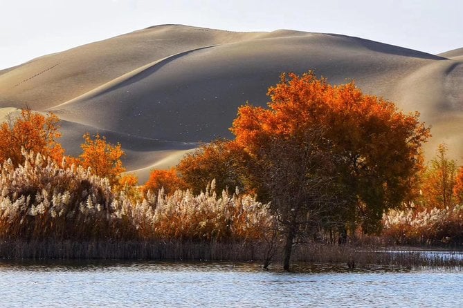 Xinjiang Best Classic Silk Road Tour With Locals - Price and Reviews