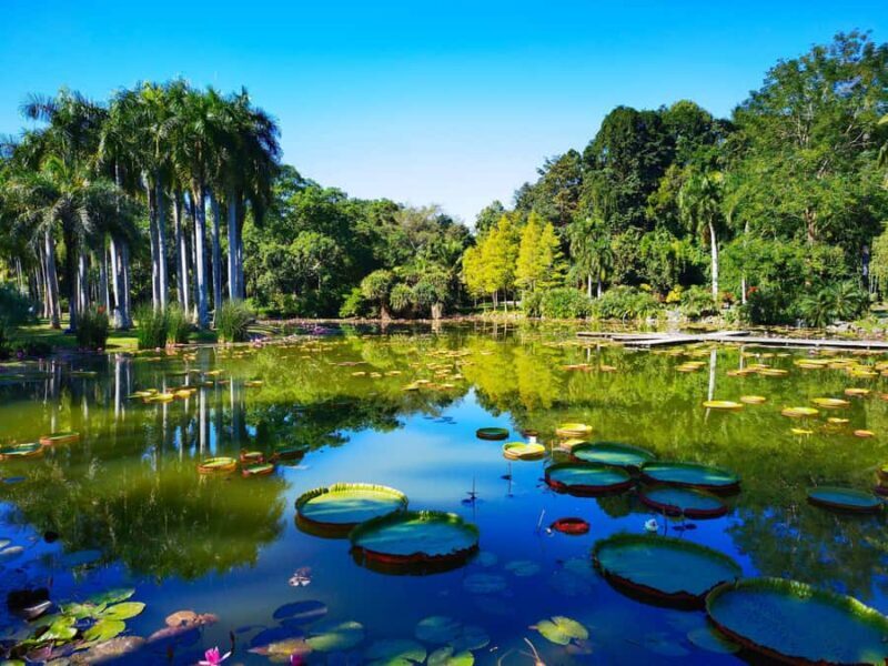 Xishuangbanna: 7-Day Dai Heritage & Botanical Wonders - Day 1: Arrival and Night Market