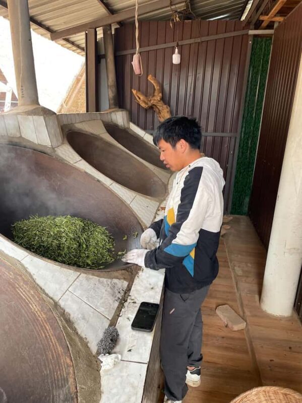 Xishuangbanna: Ancient Tea Forests and Modern Coffee Trails - An Introduction to the Experience