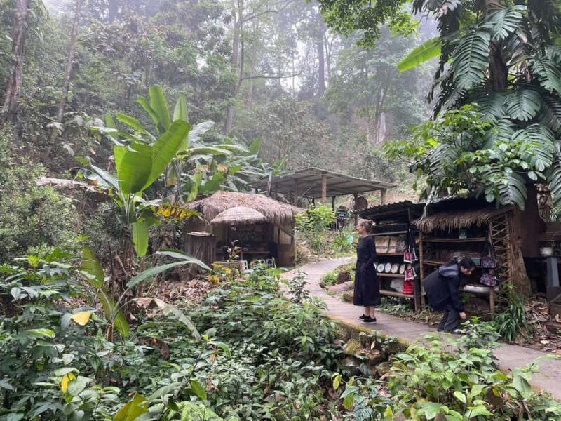 Xishuangbanna: Ancient Tea Forests and Modern Coffee Trails - Who Would Love This Tour?