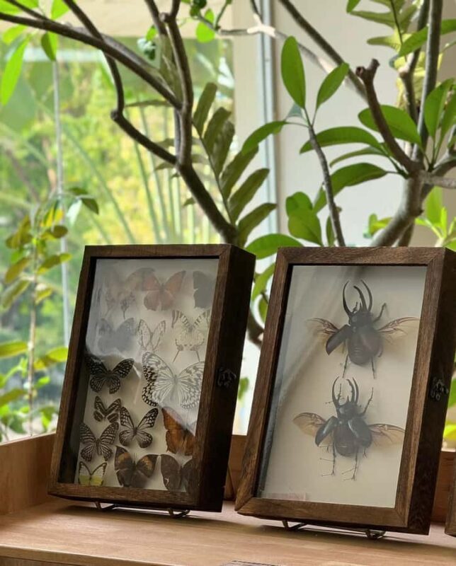 Xishuangbanna: Dai Temple, Tradition, Tie-Dye & Night Market - An Evening at the Starlight Night Market