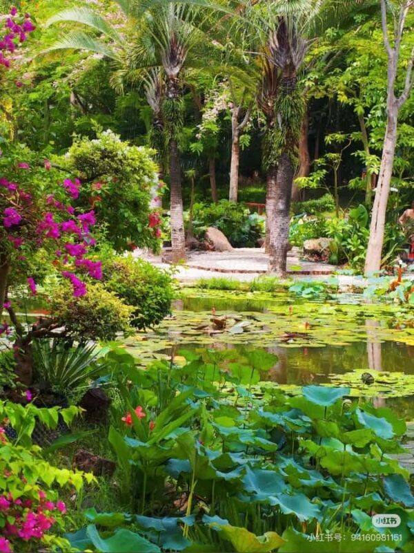 Xishuangbanna: Dai Temple, Tradition, Tie-Dye & Night Market - FAQ