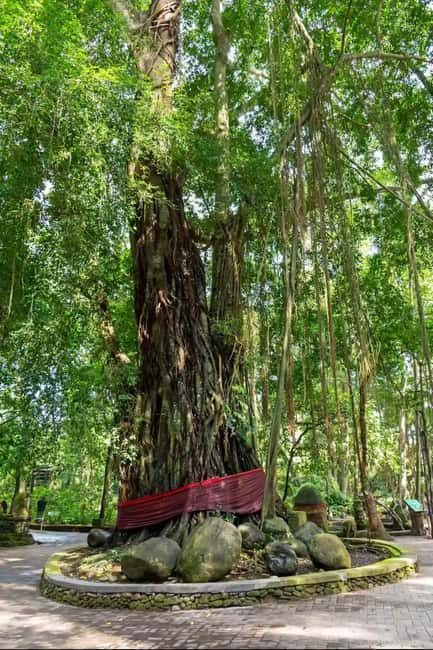 Xishuangbanna: Day Trip to Daluo - Practical Details and Insights