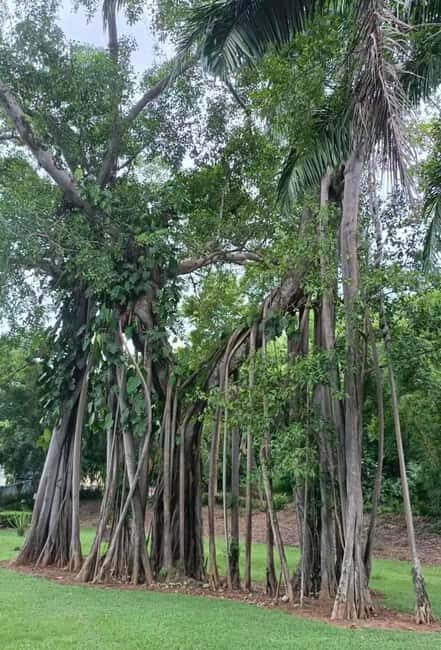 Xishuangbanna: Day Trip to Daluo - Who Might Want to Skip It?