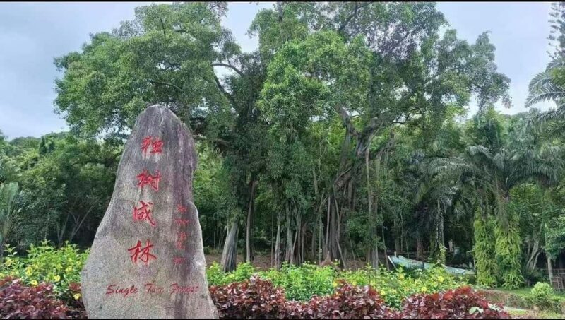 Xishuangbanna: Day Trip to Daluo - Frequently Asked Questions