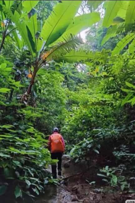 Xishuangbanna: hiking in the rain forest of Jinuo Mountain - An In-Depth Look at the Jinuo Mountain Rainforest Tour