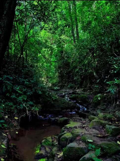 Xishuangbanna: hiking in the rain forest of Jinuo Mountain - What Makes This Tour Valuable?