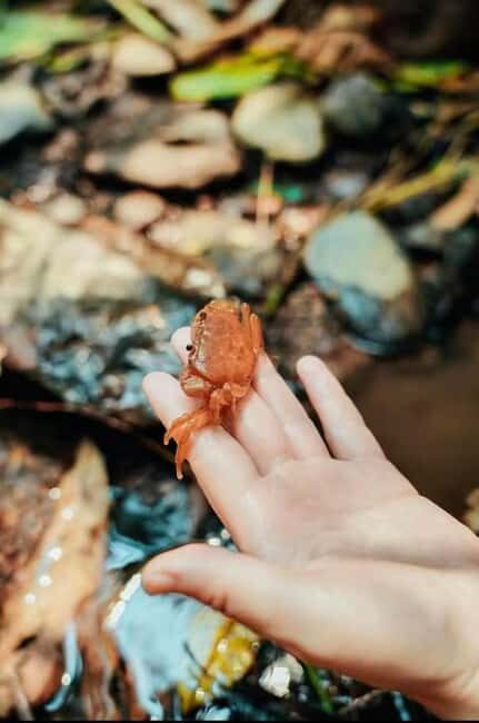 Xishuangbanna: hiking in the rain forest of Jinuo Mountain - Why You Should Consider This Tour