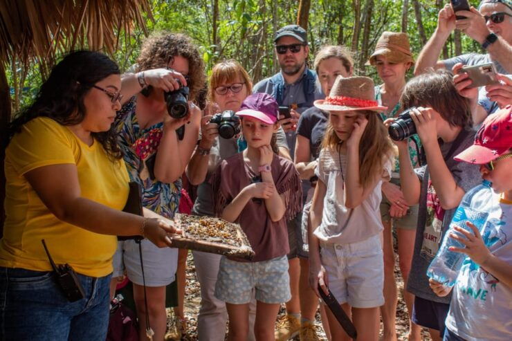 Xkopek Day Pass, Bee Tour and Pool - Experience Highlights