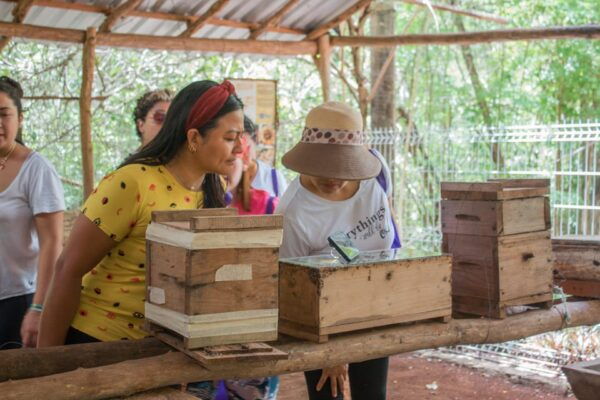 Xkopek Day Pass, Bee Tour and Pool - Cancellation Policy