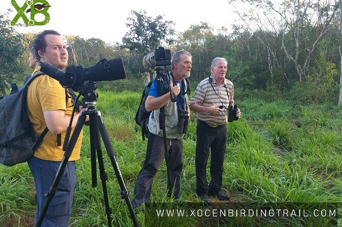 Xocen Birding - Exploring Xocén Birding: A Guide to Yucatán’s Birdwatching Gem