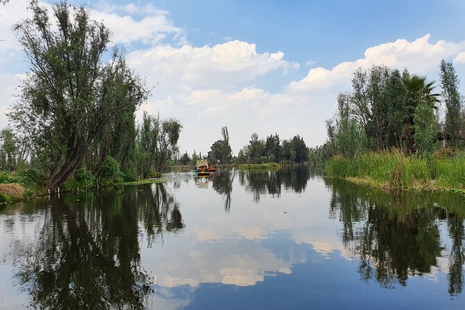 Xochimilco All Inclusive, Private Tour With Food and Transportation - Delicious Meal on the Trajinera Boat