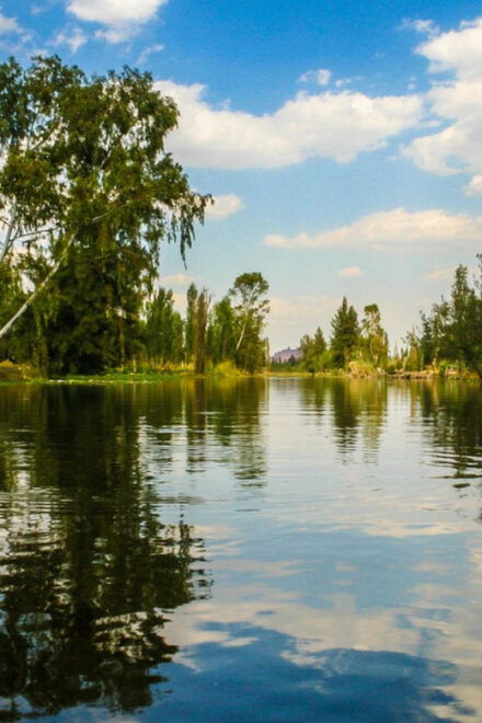 Xochimilco: Boat Ride With a Sommelier and Mezcal Tasting - Cancellation and Contact Information