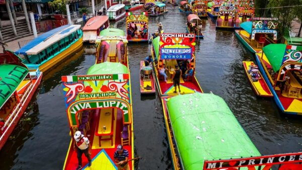 Xochimilco: Boat Ride With a Sommelier and Mezcal Tasting - Mezcal Tasting Experience