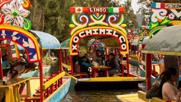 Xochimilco: Boat Ride With a Sommelier and Mezcal Tasting - Cultural Immersion and Culinary Delights