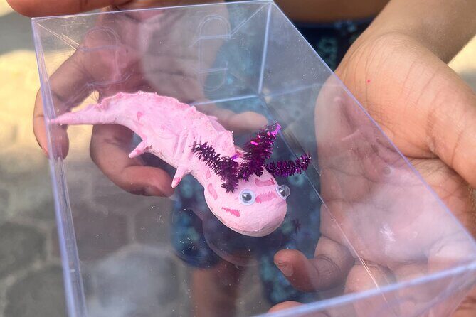 Xochimilco Boat Ride with Kids - The Sum Up: Is It Worth It?