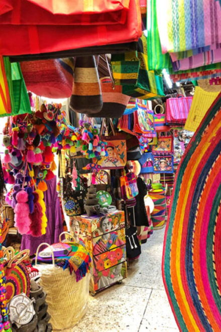 Xochimilco Canals and the Treasures of Coyoacán Tour - Frequently Asked Questions