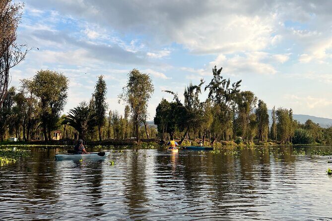 Xochimilco Canals by Kayak - Who Will Love This Tour?