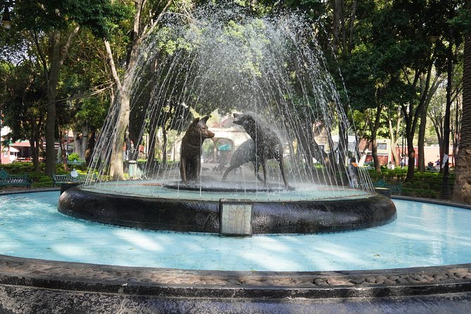 Xochimilco, Coyoacán and Frida Kahlo Museum Private Tour - Customer Satisfaction