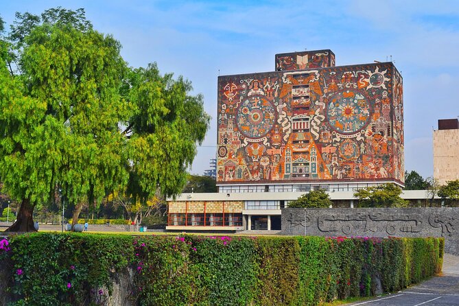 Xochimilco, Coyoacan and Frida Kahlo Museum Tour - Xochimilco Experience