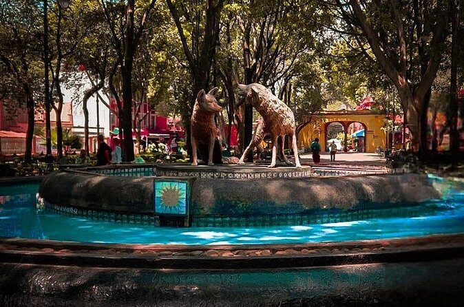 Xochimilco, Coyoacan and more tours - FAQ